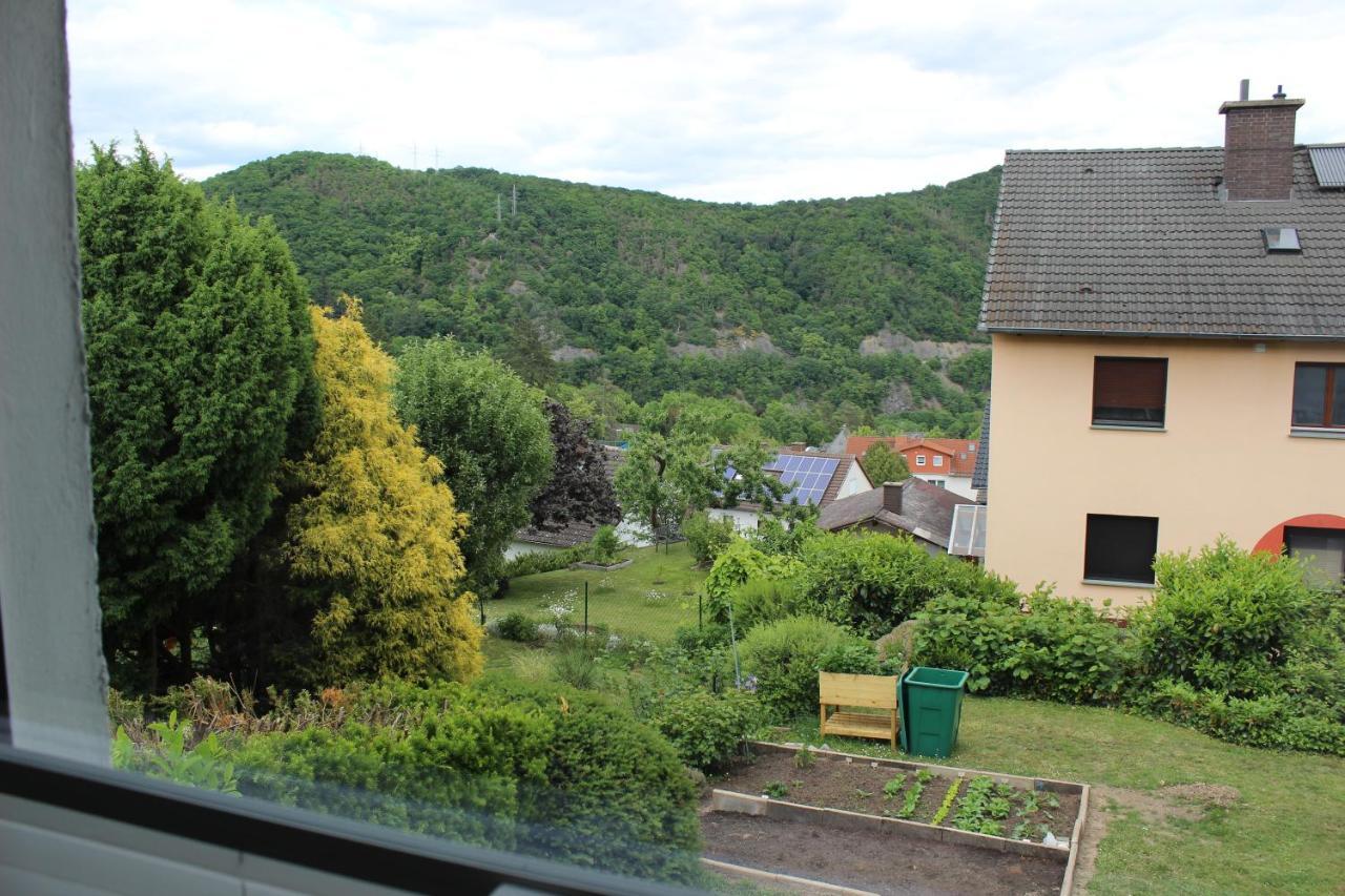 Ferienwohnung Zum Wildpark Edersee Zewnętrze zdjęcie