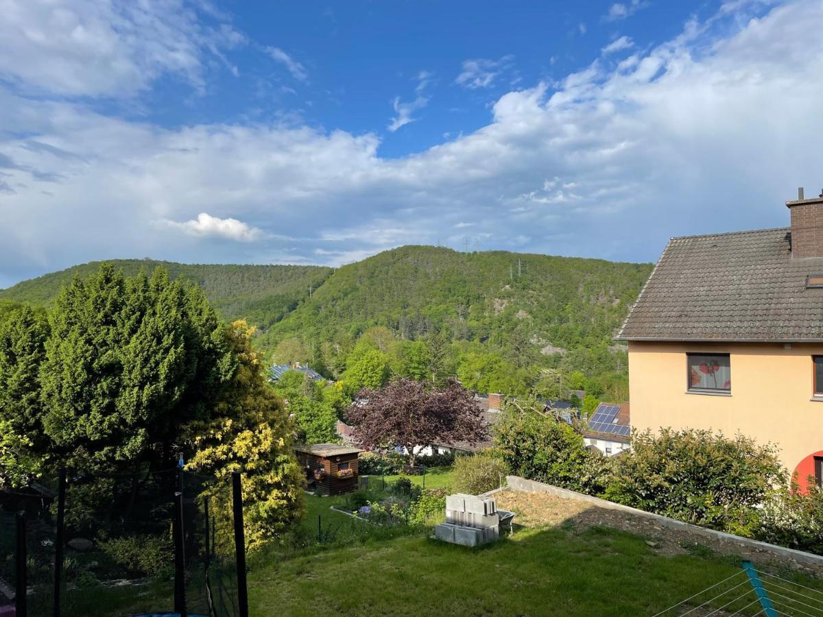 Ferienwohnung Zum Wildpark Edersee Zewnętrze zdjęcie